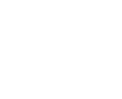SANEAGO